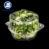 Shape clear disposable  clear transparent plastic vegetable box with lid