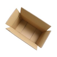 Corrugated Paper Box Packing