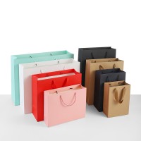 China Manufacturer Colorful Luxury Printed Custom Logo Shopping Paper Bag With Handles